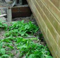 20060505-buiten.jpg