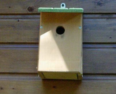 20060529-vogelhuisje.jpg