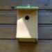 20060529-vogelhuisje.jpg
