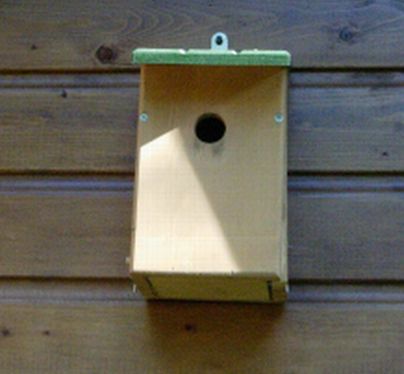 20060529-vogelhuisje.jpg
