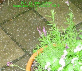 20060530-hagelbui.jpg