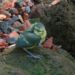20060602-jong vogeltje.jpg