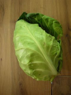 20060617-kool.jpg