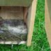 20060807-nest4.jpg