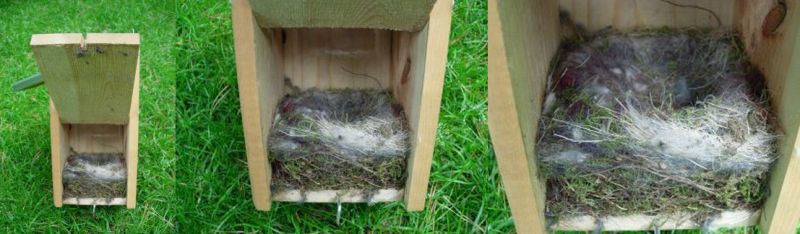 20060807-nest4.jpg