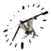 20061030-5.gif