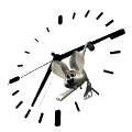 20061030-5.gif