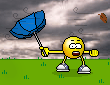 20061101-stophierWindy02HL.gif