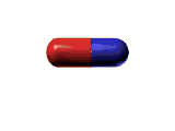 20061120-capsule.gif