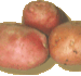 20070102-aardappel6.gif