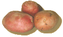 20070102-aardappel6.gif