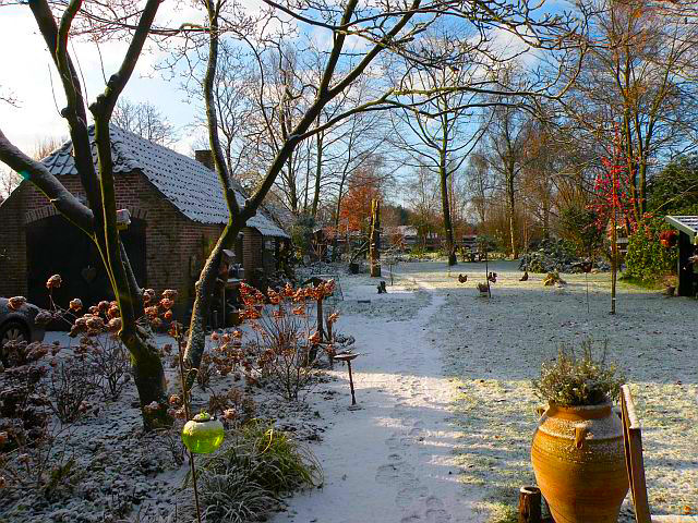20121217-schuur.jpg