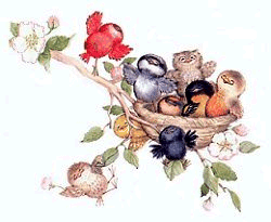 20130104-vogels4.gif