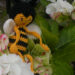 20130701-bij.jpg