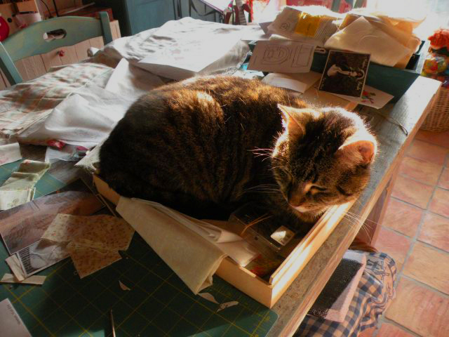 20140805-poes.jpg
