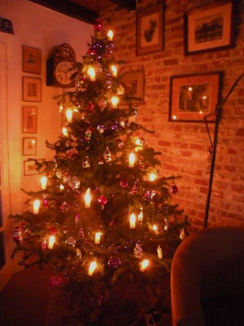 20141231-kerstboom.jpg