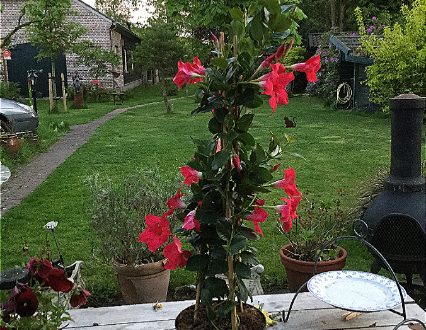 20170514-img_0398.png