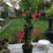 20170514-img_0398.png