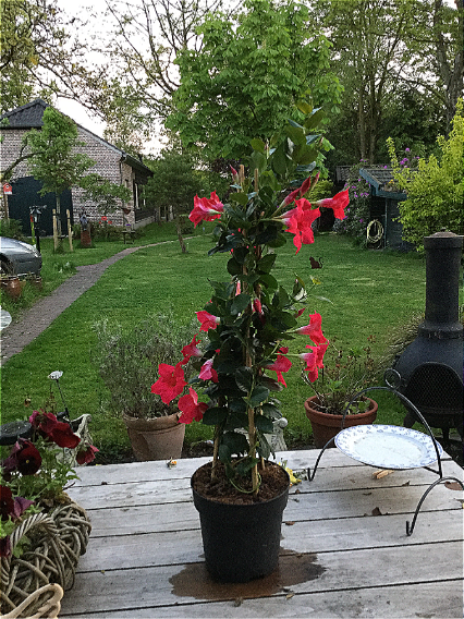 20170514-img_0398.png