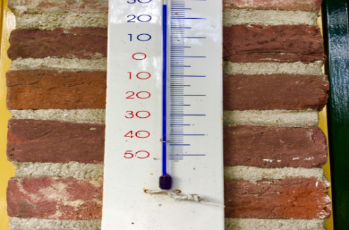 20170516-img_0426.png