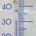 20170615-img_1141.png