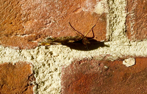 20170702-img_1301.png