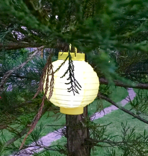20170704-img_1309.png