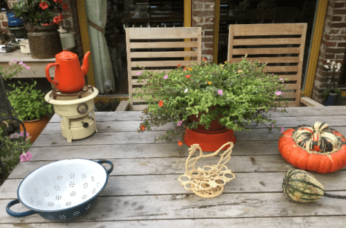 20170902-img_1680.png
