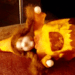20170912-img_1731.png