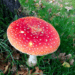 20171010-img_1887.png