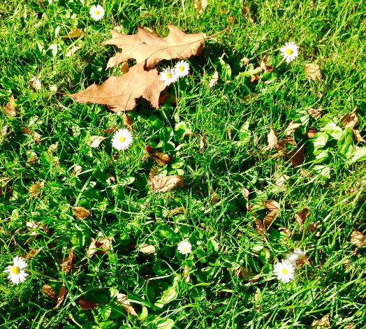 20171016-img_1928.png