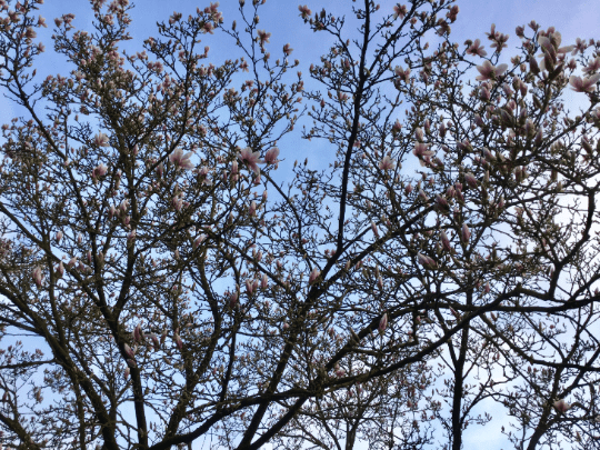 20180408-82f952c4-bc37-418a-8450-80d3bcf96f2b.png