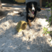 20180508-788f6c15-f20c-44d0-803e-a9c98cf7509f.png