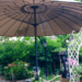 20180611-b25ce25c-5b8f-45ea-8536-d1e1c7be6f65.png