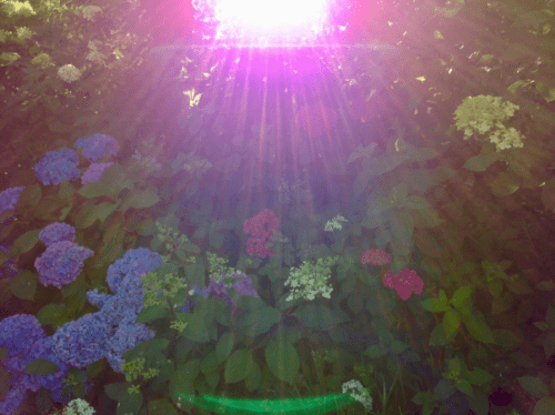 20180628-eea1c7f2-e28b-49ec-a562-0b0cb48cd52e.png