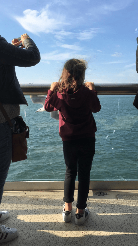 20181016-5963db09-2899-4406-8b42-ccb4cd28e0af.png