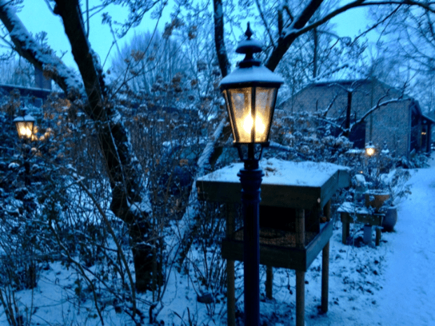 20190123-cfb3f504-22b9-416f-9d62-219631895d7e.png
