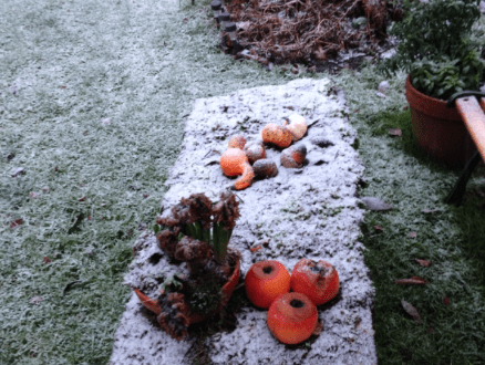 20190130-5490e2fc-6149-4a49-afd1-81019f9c6b31.png