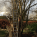 20190203-40572383-7ac2-4df2-84a3-22f9e2e71dd3.png