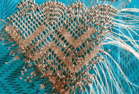 20190213-39f451ad-f504-462b-9d1b-bda87f24d62d.png