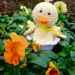 20190306-7111fbbf-8379-40e2-82c5-4ee3229e73a3.png