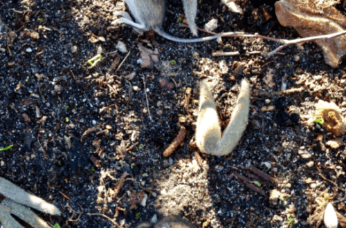20190319-0d570d43-5f39-42f6-95b4-7bef26ce1b97.png