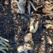 20190319-0d570d43-5f39-42f6-95b4-7bef26ce1b97.png
