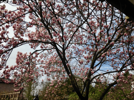 20190325-345e3156-4bdb-497e-aa2e-1668cebc7b4e.png