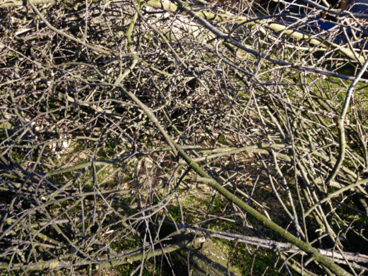 20190325-ea1c04f5-81d4-4a91-83d8-f8595ef1f173.png