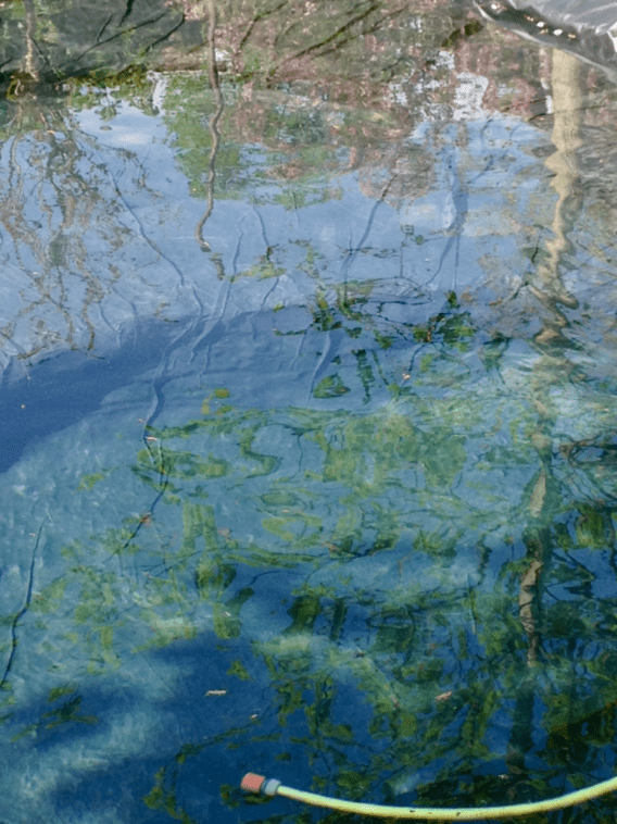 20190423-2578ff63-58d2-4333-98c6-4f33ab401615.png