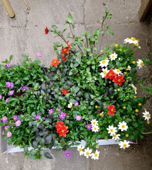 20190517-a78b126c-af5e-4f54-bd81-e0b8bf18ff1d.png