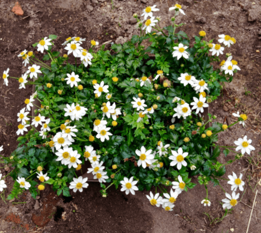20190517-f64af342-fa76-481c-8a76-b2f11a80e0bd.png