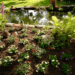 20190524-aba3cc8d-6030-48d6-9dfe-91a3b01a8a0d.png