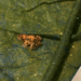 20190525-269cbad8-4a0a-4ba5-b249-957c277dcad2.png